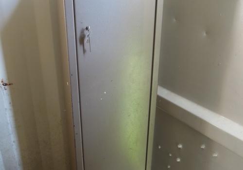 Dudley 5 gun cabinet 