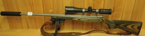Ruger 17/17 17HMR