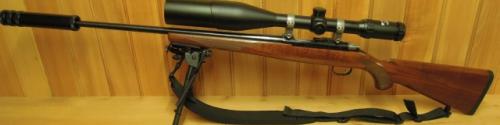 Ruger 77/17 .17HMR