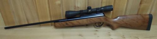 BSA